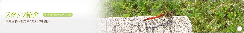 スタッフ紹介